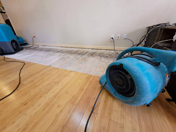 Professional Water Extraction technician working in Tijeras, NM